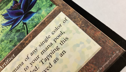 MTG 1996 BLACK LOTUS Oversized/Jumbo Promo Card Damaged (BIN) Graded Power - Image 3