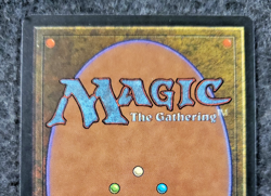 Wall of Ice Revised - Magic the Gathering Mint Never played MTG (DS3D1K6) - Image 4