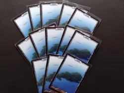 Mtg Unhinged Land Set Plain Island Mountain Forest 13 Pieces Each - Image 3