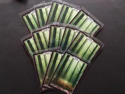 Mtg Unhinged Land Set Plain Island Mountain Forest 13 Pieces Each - Image 5