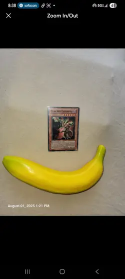 Yu-Gi-Oh! Card Lot Dark Magician Girl, Exodia Set, Black Luster And More - Image 3