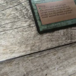 Magic The Gathering MTG Killer Bees Legends 1994 LP Excellent Ungraded - Image 2