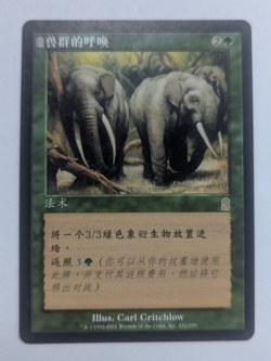 Magic Mtg Chinese Odyssey Call of the Herd lightly played - Image 1