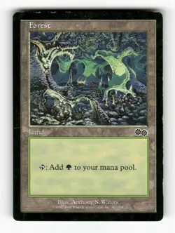 Forest () 347 MP L MTG Magic Urza's Saga {{year}} {{format}} - Image 1