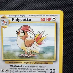 Pidgeotto 22/102 Pokemon Base Set Trading Card WOTC TCG Rare 1999 NM - Image 3