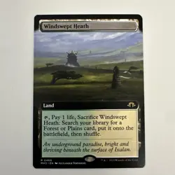 Windswept Heath (Extended Art) | Modern Horizons 3 | MH3 MTG | 0466 - Image 1