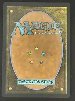 MTG Windswept Heath - 235 / English / Near Mint TCG Regular Finish - Image 2