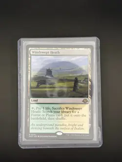 MTG Windswept Heath - 235 / English / Near Mint TCG Regular Finish - Image 3