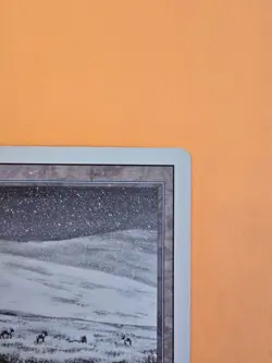 MTG Revised TUNDRA LP Very Good Condition Magic The Gathering Dual Land Reserved - Image 4