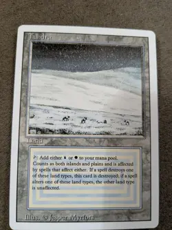 MTG Revised TUNDRA LP Very Good Condition Magic The Gathering Dual Land Reserved - Image 1