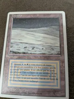 Mtg Italian Tundra Dual Land - Image 1