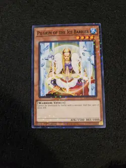 Pilgrim of the Ice Barrier (Duel Terminal) HAC1-EN035 Common YuGiOh - Image 1