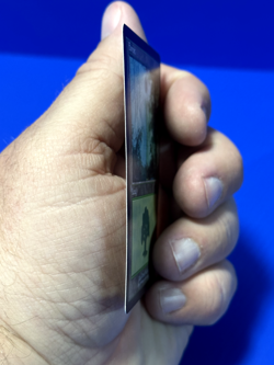 MTG Forest Guru Lands Magic the Gathering 1999 Promo Rare - Image 2