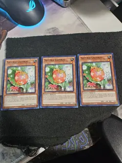 x3 Naturia Ladybug HAC1-EN109 Common YuGiOh - Image 1