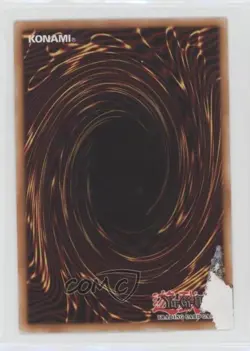 Vorse Raider YuGiOh Starter Deck Kaiba Reloaded #YSKR-EN010 READ - Image 2