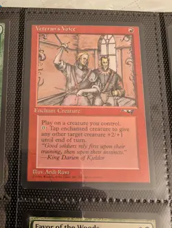 Magic the Gathering MTG Veteran's Voice (84a) Alliances NM (G) - Image 1