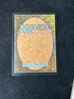 MTG Delina, Wild Mage Adventures in the Forgotten Realms 138/281 AFR NM Magic - Image 3