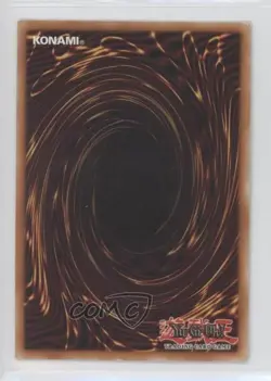 Amazoness Chain Master YuGiOh Gold Series 3 Limited Edition Box Collection 2010 - Image 2