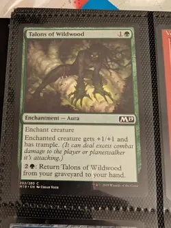 1x Talons of Wildwood - NM English MTG - Magic 2019 (G) - Image 1