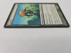 LIGNIFY Lorwyn MTG Magic the Gathering Cards Green Tribal Enchantment - Image 4