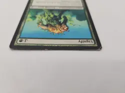 LIGNIFY Lorwyn MTG Magic the Gathering Cards Green Tribal Enchantment - Image 5