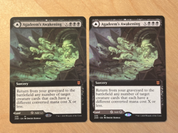 MTG Magic the Gathering 1x Agadeem's Awakening Extended Art Zendikar Rising NM - Image 1
