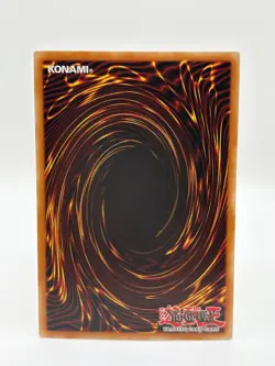 Yugioh - Droll and Lock Bird - Gold Rare - MAGO-EN006 - LP - Image 2