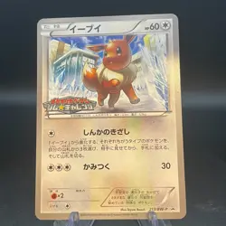Pokemon Card Eevee 213/BW-P Gym Challenge Promo Japanese 2013 - Image 1