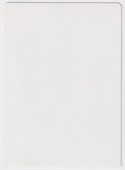 Signed King Cheetah Proof LP Visions Artist Terese Nielsen 1996 MTG Magic AP! - Image 2