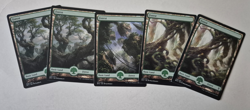 Magic The Gathering - MTG - Forest - Battle for Zendikar - Full Art x 5 - NM - Image 1