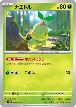 Turtwig 003/071 Wild Force sv5K 3 3/71 TEF Temporal Forces Holo Pokemon TCG Card - Image 1