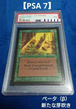 Psa7 Nm Mtg Beta English Regrowth Identification Product - Image 1