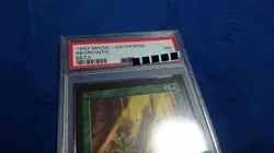 Psa7 Nm Mtg Beta English Regrowth Identification Product - Image 2