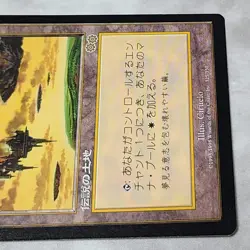 Mtg Serra'S Sanctum Japan Edition - Image 4