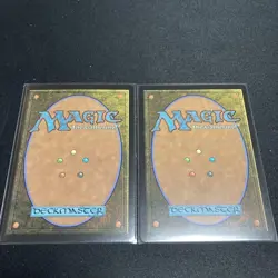 Mtg Ff The Lost Black Demon Taoist Mystic Vivi Foil Non Set Of 2 - Image 2