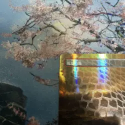 Mtg Arid Mesa/Arid Mesa Dragon Scale Foil - Image 4
