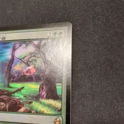 Mtg Scapeshift Mor Japan Edition Foil - Image 4