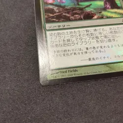 Mtg Scapeshift Mor Japan Edition Foil - Image 5