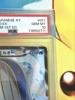 Pokemon Card Wailord EX SR XY Tidal Storm Japanese PSA 10 Gem Mint Rare - Image 3