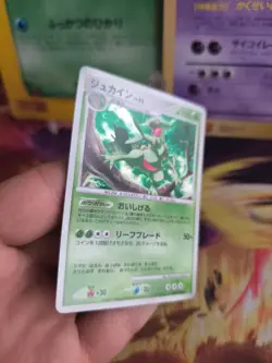 Pokemon Karte Card Holo Sceptile LV. 52 Great Encounters japanese NM-MINT - Image 4