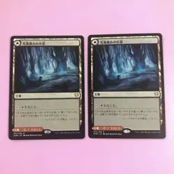 Mtg Paths On A Devastated Road, Between The Roads, Set Of 2 - Image 1