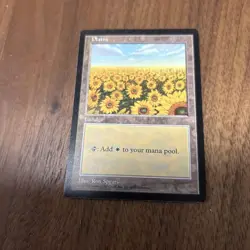 Plains/Plains Apac Land Sunflower Magic The Gathering Mtg - Image 1