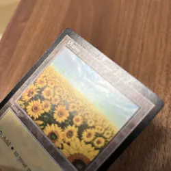 Plains/Plains Apac Land Sunflower Magic The Gathering Mtg - Image 3
