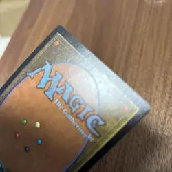 Plains/Plains Apac Land Sunflower Magic The Gathering Mtg - Image 4