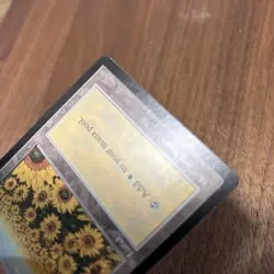 Plains/Plains Apac Land Sunflower Magic The Gathering Mtg - Image 5