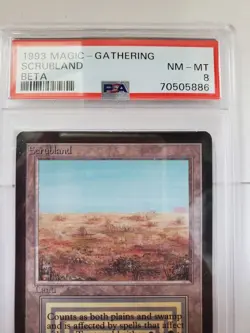 Mtg Beta Scrubland English PSA 8 - Image 2