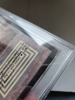 Mtg Beta Scrubland English PSA 8 - Image 5