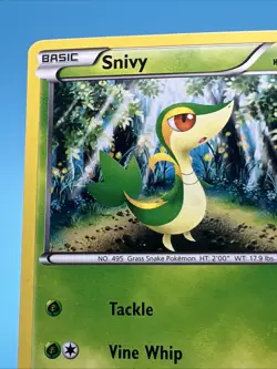 2011 Pokemon, Black & White Promos, #1/114 Snivy, Cosmos Holo NM - Image 4