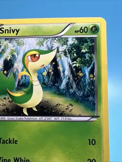 2011 Pokemon, Black & White Promos, #1/114 Snivy, Cosmos Holo NM - Image 5