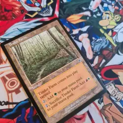 MTG Tinder Farm ENG Nm Card Magic the Gathering Invasion Karte Sammlung OG - Image 5